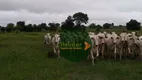 Foto 17 de Fazenda/Sítio com 4 Quartos à venda, 10502800m² em Zona Rural, Mundo Novo