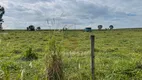 Foto 11 de Fazenda/Sítio com 3 Quartos à venda, 48400m² em Nova Uberlandia, Uberlândia