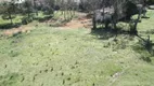 Foto 5 de Lote/Terreno para alugar, 18000m² em Estados, Fazenda Rio Grande