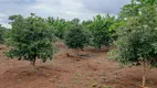 Foto 55 de Fazenda/Sítio com 3 Quartos à venda, 22000m² em Area Rural do Paranoa, Brasília