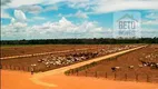Foto 14 de Fazenda/Sítio à venda, 742640000m² em Zona Rural, Nova Ubiratã