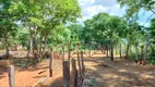 Foto 51 de Fazenda/Sítio com 3 Quartos à venda, 100000m² em Corrego Rico, Planaltina