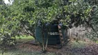 Foto 14 de Fazenda/Sítio com 3 Quartos à venda, 4000m² em Papucaia, Cachoeiras de Macacu