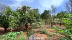 Foto 37 de Fazenda/Sítio com 4 Quartos à venda, 100m² em Serra Azul, Mateus Leme