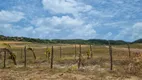 Foto 8 de Lote/Terreno à venda, 200m² em Centro, Baía Formosa