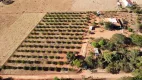 Foto 4 de Fazenda/Sítio com 2 Quartos à venda, 12000m² em Centro, Goianápolis