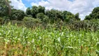 Foto 17 de Fazenda/Sítio com 3 Quartos à venda, 180000m² em Area Rural de Planaltina, Brasília