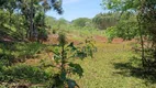 Foto 6 de Fazenda/Sítio com 3 Quartos à venda, 3000m² em Rio do Salto, Cascavel