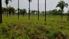 Foto 12 de Fazenda/Sítio à venda em , Penalva