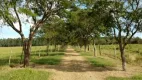 Foto 12 de Fazenda/Sítio com 4 Quartos à venda, 80m² em Area Rural de Quadra, Quadra