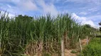 Foto 8 de Fazenda/Sítio com 3 Quartos à venda, 200m² em Zona Rural, Goianésia