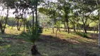 Foto 25 de Fazenda/Sítio com 2 Quartos à venda, 200m² em São Vicente de Paula, Araruama