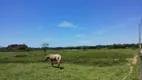 Foto 6 de Fazenda/Sítio com 2 Quartos à venda, 400000m² em , Carapebus