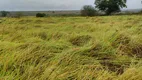 Foto 18 de Fazenda/Sítio com 3 Quartos à venda, 150000m² em Centro, Lagoa de Pedras