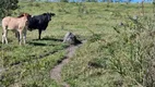 Foto 14 de Fazenda/Sítio com 3 Quartos à venda, 43000000m² em Centro, Perdizes