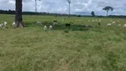 Foto 12 de Fazenda/Sítio com 2 Quartos à venda, 1000m² em Zona Rural, Manicoré