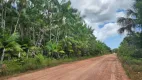 Foto 3 de Lote/Terreno à venda, 100000m² em Carananduba Mosqueiro, Belém