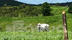 Foto 18 de Fazenda/Sítio com 3 Quartos à venda, 487000m² em Centro, Indiaroba