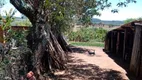 Foto 21 de Fazenda/Sítio com 3 Quartos à venda, 100m² em Zona Rural, Angatuba