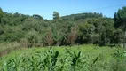 Foto 3 de Fazenda/Sítio com 5 Quartos à venda, 197880m² em Campina de Quitandinha, Quitandinha