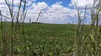 Foto 50 de Fazenda/Sítio à venda em Area Rural do Paranoa, Brasília