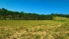 Foto 4 de Lote/Terreno à venda, 500m² em Area Rural de Mogi das Cruzes, Mogi das Cruzes