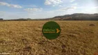 Foto 21 de Fazenda/Sítio à venda, 2565200m² em Zona Rural, Trindade