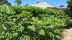 Foto 5 de Fazenda/Sítio com 2 Quartos à venda, 140m² em Area Rural de Artur Nogueira, Artur Nogueira