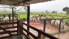 Foto 10 de Fazenda/Sítio à venda em Zona Rural, João Pinheiro