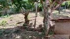 Foto 19 de Fazenda/Sítio com 3 Quartos à venda, 1800m² em Cachoeirinha , Pinhalzinho