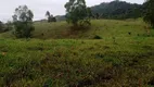 Foto 44 de Fazenda/Sítio com 4 Quartos à venda, 1110000m² em Zona Rural, Santos Dumont