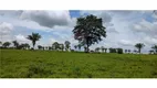 Foto 6 de Fazenda/Sítio com 2 Quartos à venda, 1500400m² em Zona Rural, São Geraldo do Araguaia