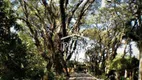 Foto 5 de Lote/Terreno à venda, 517m² em Bosque do Vianna, Cotia