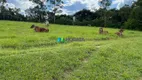 Foto 64 de Fazenda/Sítio com 3 Quartos à venda, 50000m² em Zona Rural, Itutinga
