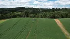 Foto 9 de Fazenda/Sítio à venda, 50000m² em Centro, Campo Alegre