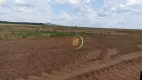 Foto 17 de Fazenda/Sítio à venda, 32912000m² em Zona Rural, Doverlândia