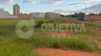 Foto 3 de Lote/Terreno à venda, 250m² em Aclimacao, Uberlândia