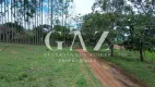 Foto 29 de Fazenda/Sítio à venda, 177628m² em Zona Rural, Leopoldo de Bulhões