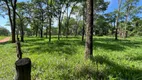 Foto 13 de Fazenda/Sítio com 3 Quartos à venda, 2613600m² em Nossa Senhora Aparecida, Uberlândia