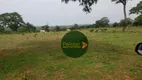 Foto 3 de Fazenda/Sítio à venda, 4694800m² em Zona Rural, Bom Jardim de Goiás