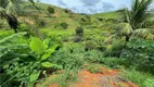 Foto 6 de Lote/Terreno à venda, 451m² em Vila Conceicao, Muriaé