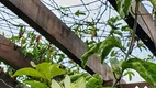 Foto 40 de Lote/Terreno à venda, 1000m² em Casa Branca, Brumadinho