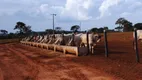 Foto 21 de Fazenda/Sítio com 4 Quartos à venda, 5000m² em Tabajaras, Uberlândia