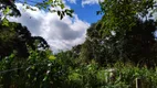 Foto 10 de Fazenda/Sítio com 2 Quartos à venda, 6000m² em Cotia, São José dos Pinhais