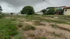 Foto 11 de Lote/Terreno à venda, 5000m² em Olho d'Água, São Luís