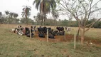 Foto 2 de Fazenda/Sítio à venda, 2800000m² em Rural, Abaeté