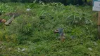 Foto 7 de Lote/Terreno à venda, 200m² em Forquilhas, São José