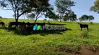 Foto 7 de Fazenda/Sítio com 1 Quarto à venda, 247m² em Zona Rural, Morro da Garça