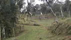 Foto 4 de Fazenda/Sítio com 3 Quartos à venda, 100m² em Centro, Campo Alegre