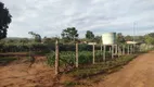 Foto 5 de Fazenda/Sítio com 3 Quartos à venda, 5000m² em Area Rural do Paranoa, Brasília